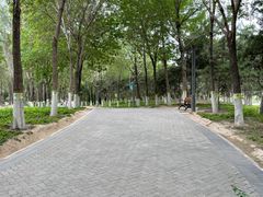 -大兴滨河森林公园