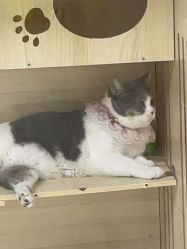 -苗医生草本科技祛痘