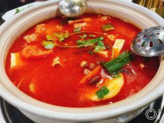 -黔府豆米火锅野菜馆(南马店)