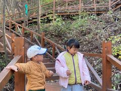 -大岭沟猕猴桃谷风景区