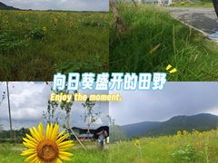 -浮槎山