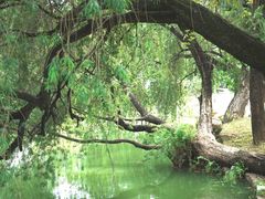 -人民公园(罗湖区)