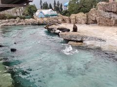 -珠海长隆海洋王国