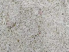 -萌兽医馆·宠物医院·猫骨科(创景店)