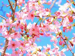 -福州大学(旗山校区)