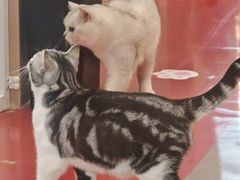 -天虹购物中心(深圳龙华店)