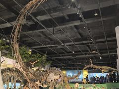 -国家自然博物馆