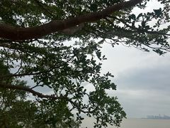 -华侨城湿地公园