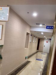 -碧莲盛·不剃发植发