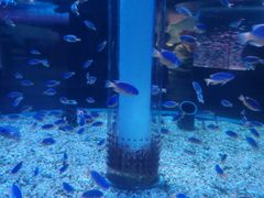 -海合安成都极地海洋公园