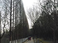 -昆山城市生态森林公园