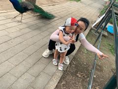 -北京麋鹿生态实验中心