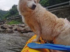 -安吉龙王山峡谷漂流
