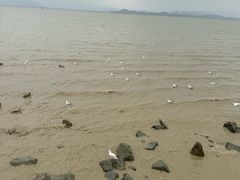 -深圳湾公园(南山区)