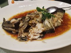 古法蒸青斑-荣粤酒家·融合粤菜