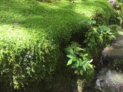 -常寂光寺