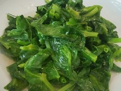 鸡油豆苗-蘭心·臻品(瑞虹太阳宫店)