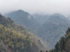 -新安江山水画廊风景区