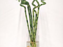 -金陵花卉交易市场