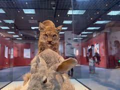 -国家自然博物馆