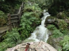 -矮寨·十八洞·德夯大峡谷景区