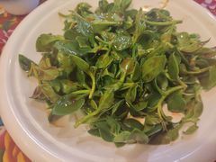 -闯关东东北农家菜(崂山石老人店)