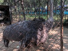 -草根堂农场