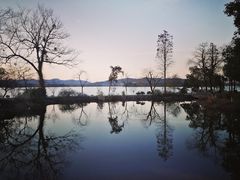 -浙江西子宾馆·牡丹厅