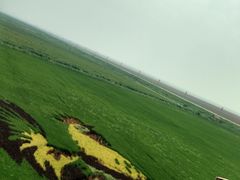 -红海滩国家风景廊道