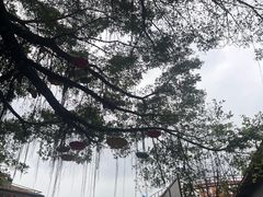 -长鹿旅游休博园