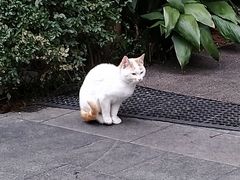 -星河湾商业街地面停车场