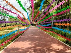 -桤木河湿地公园