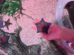 -沈阳海洋探索中心