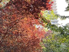-木塔寺遗址生态公园