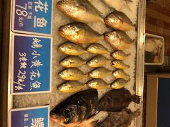 -双井轩(双井店)
