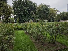 -人民公园(罗湖区)