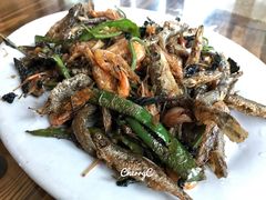 -竹庄餐馆·26年店(南昆山景区店)