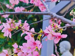 -石室禅院