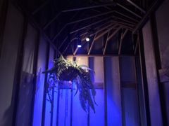 -红钳侠小龙虾·烧烤(中赢康康谷店)