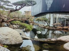 -罗红摄影艺术馆