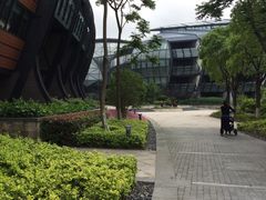 -上海滴水湖皇冠假日酒店