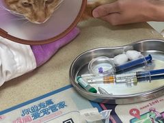 -艾贝尔宠物医院 ·内科全科(梁溪路店)
