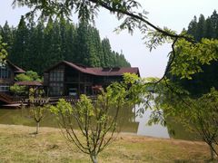 -黄海国家森林公园