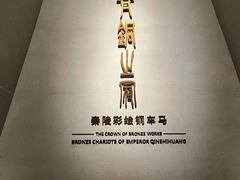 -秦始皇帝陵博物院-丽山园