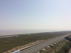 -南汇嘴观海公园