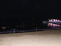 -杭州湾海上花田景区