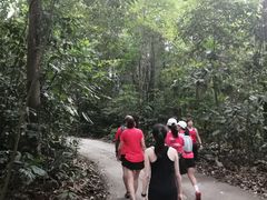 -武吉知马自然保护区