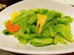 -成都老店