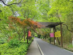 -长谷洞天
