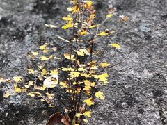 -黑龙潭风景区